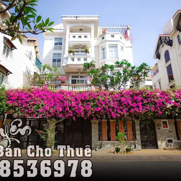 Biệt thự 4 tầng Him Lam, Tân Hưng, 20m x 20m