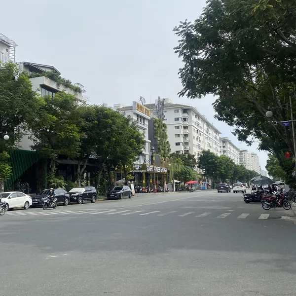 Biệt thự 2 mặt tiền Bùi Bằng Đoàn 12m x 18,5m