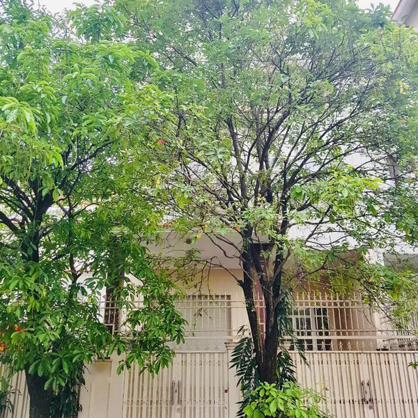 Biệt thự Him Lam Tân Hưng Quận 7 giá tốt 10m x 20m