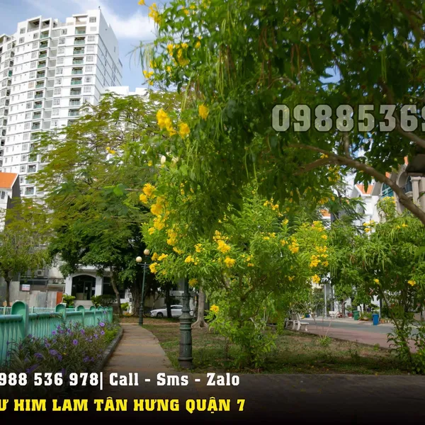Nhà Him Lam Tân Hưng 5m x 20m giá rẻ