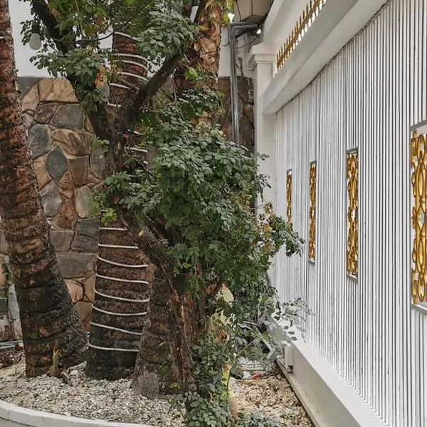 Bán nhà 25 - 27 Đặng Dung,&nbsp;P. Tân Định,&nbsp;Quận 1