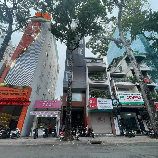 Bán toà nhà 9A Tôn Thất Tùng, P. Phạm Ngũ Lão, Quận 1