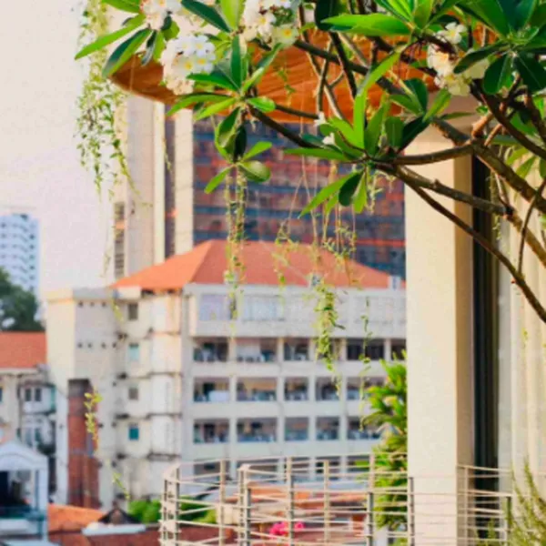 Bán toà nhà căn hộ dịch vụ Quận 1 số 42/4 Hồ Hảo Hớn, Phường Cô Giang