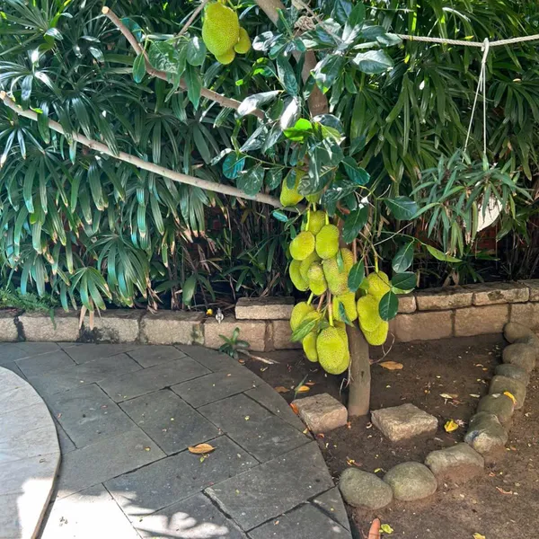 Bán biệt thự 146E9&nbsp;Nguyễn Văn Hưởng, Thảo Điền, Quận 2