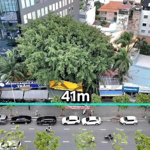 Bán quỹ đất 169 Trần Não, P. An Khánh, Quận 2