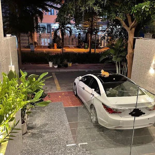 Nhà 5 tầng khu Kim Sơn - Phường Tân Phong 5m x 20m