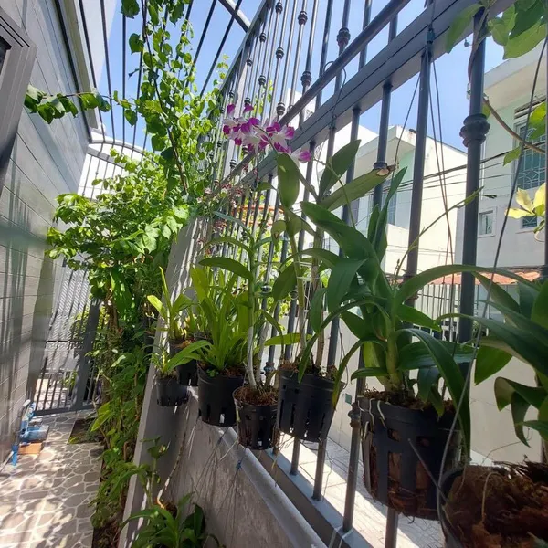 Nhà 4 tầng  2 mặt tiền hẻm xe hơi 1135 Huỳnh Tấn Phát 6,5m x 16,5m