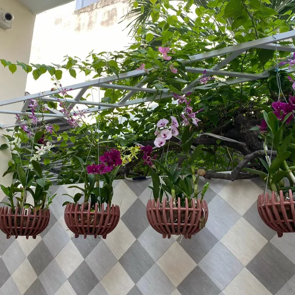 Nhà 2T hẻm 861 trần xuân soạn , 4m x 17m