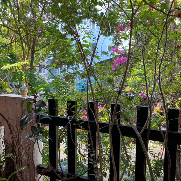 Nhà 4 tầng đường số 40 Tân Quy Đông 4m x 19m