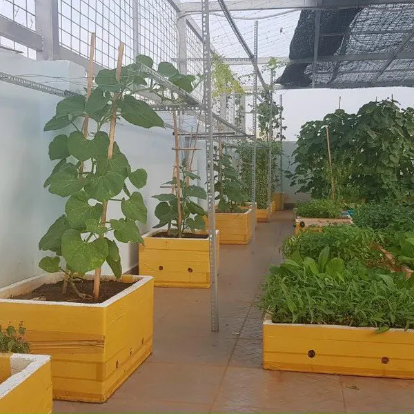 Nhà 3 tầng hẻm Gò Ô Môi , Phú Thuận 5.4m x 20m